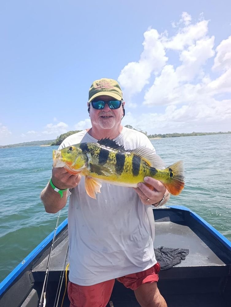 Trophy peacock bass landed on Gatun Lake